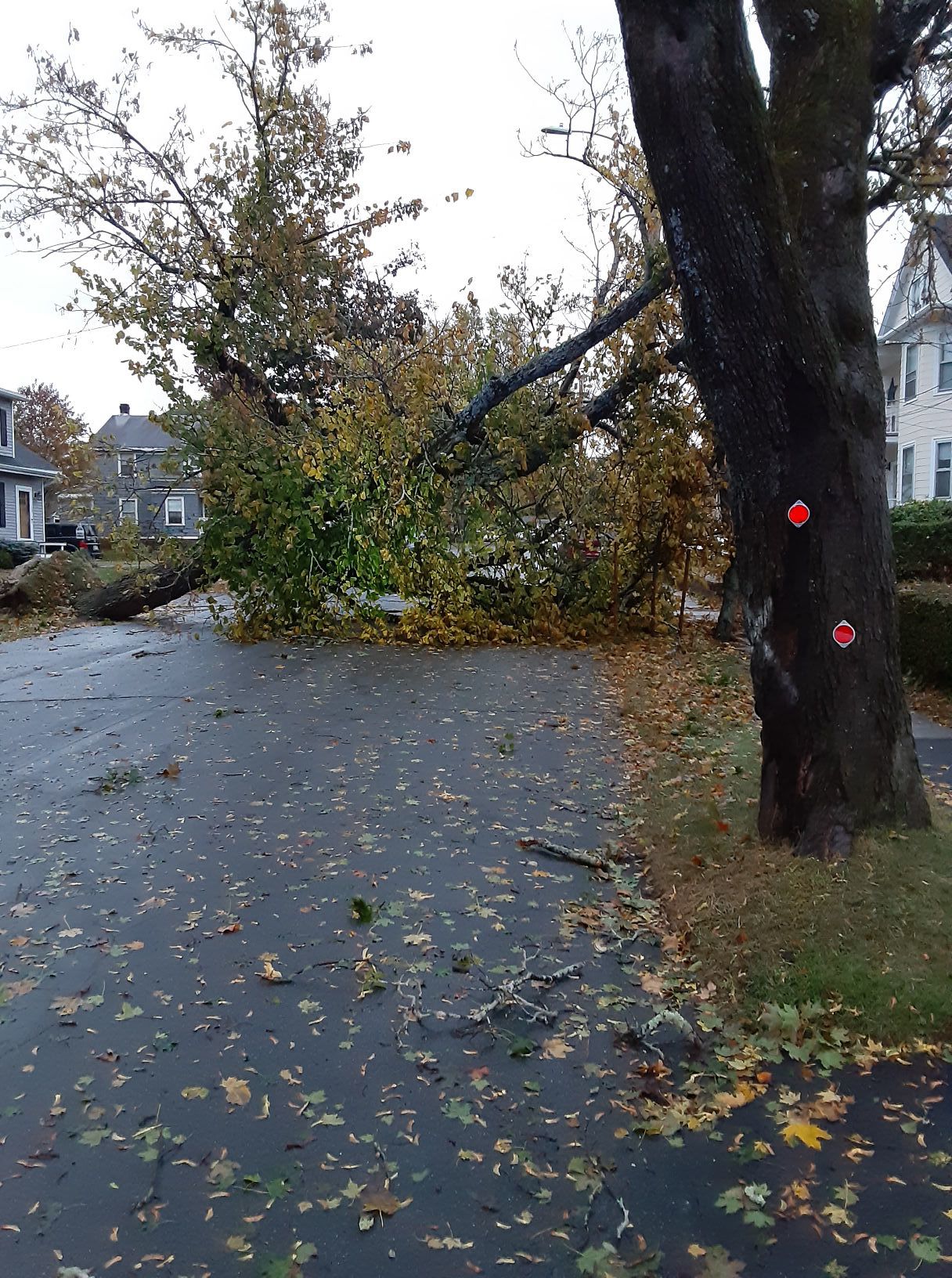 Lansing Avenue